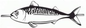 steckerlfisch